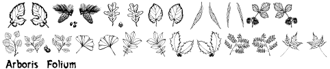 Arboris Folium